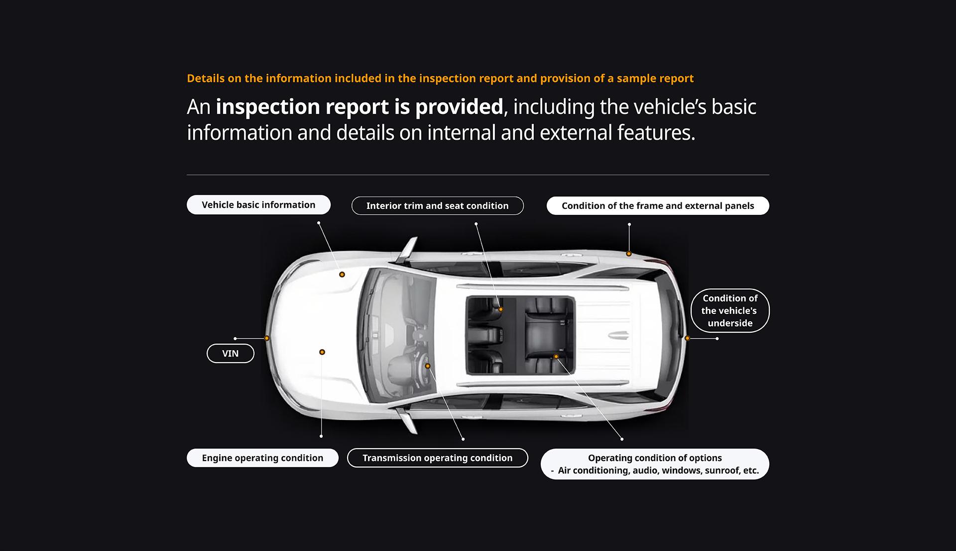 MIT Report Section